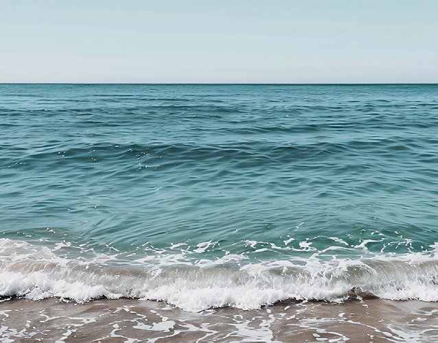 海岸